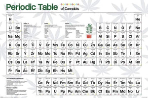 Pyramid Periodic Table Cannabis Poster 61x91,5cm | Yourdecoration.com
