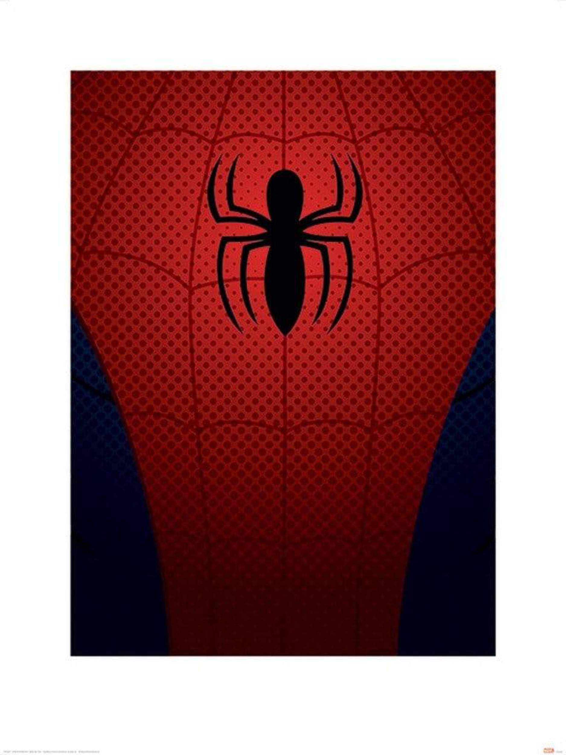 Pyramid Ultimate Spider Man Spider Man Torso Art Print 60x80cm | Yourdecoration.com