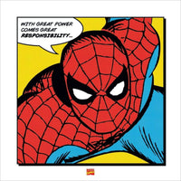 Pyramid Spider Man With Great Power Art Print 40x40cm | Yourdecoration.com