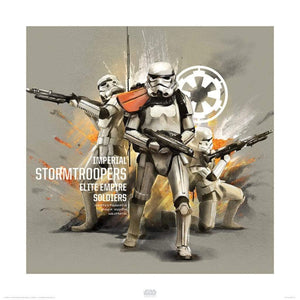 Pyramid Star Wars Rogue One Stormtroopers Profile Art Print 40x40cm | Yourdecoration.com