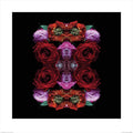 Pyramid Alyson Fennell Paradise of Petals Art Print 60x60cm | Yourdecoration.com