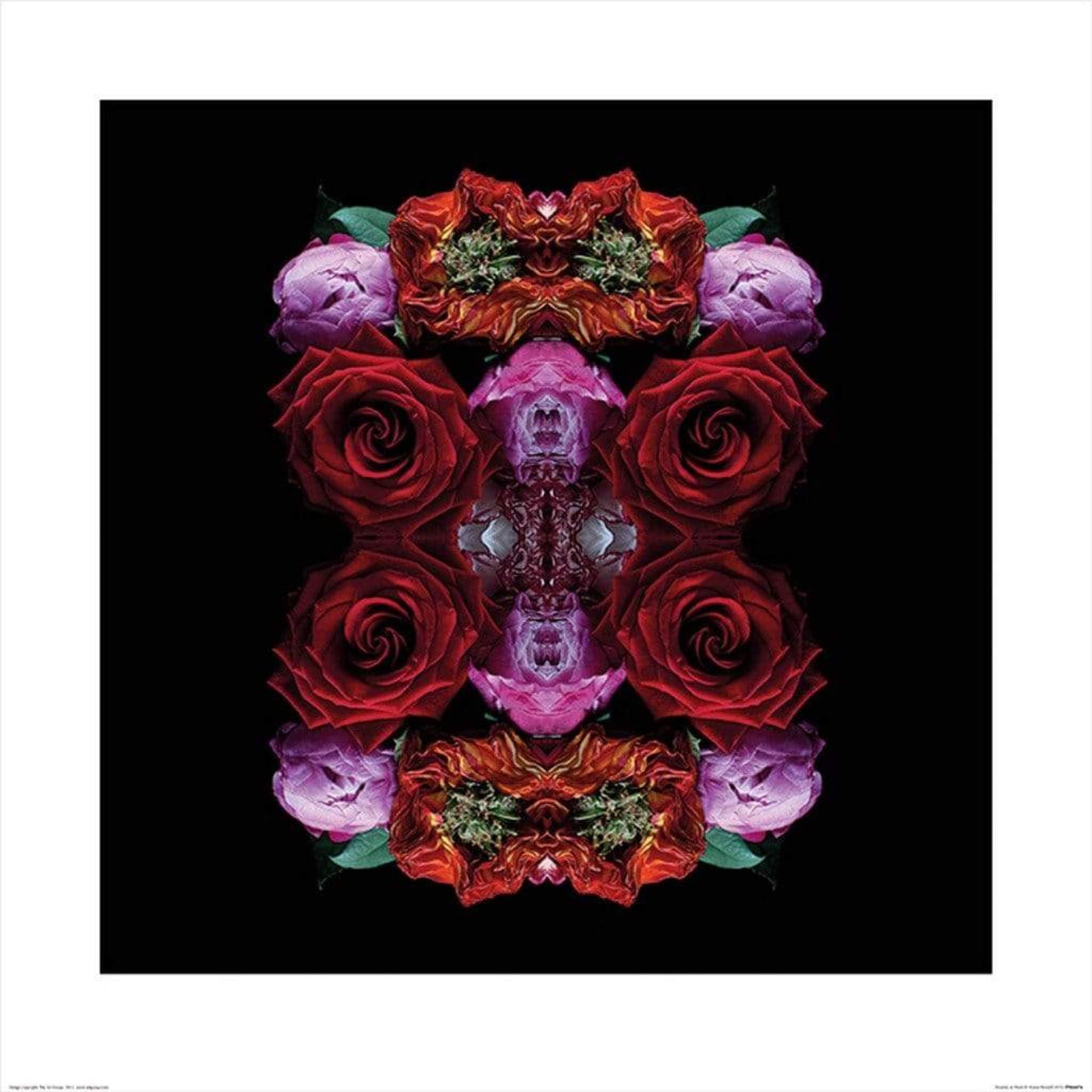 Pyramid Alyson Fennell Paradise of Petals Art Print 60x60cm | Yourdecoration.com