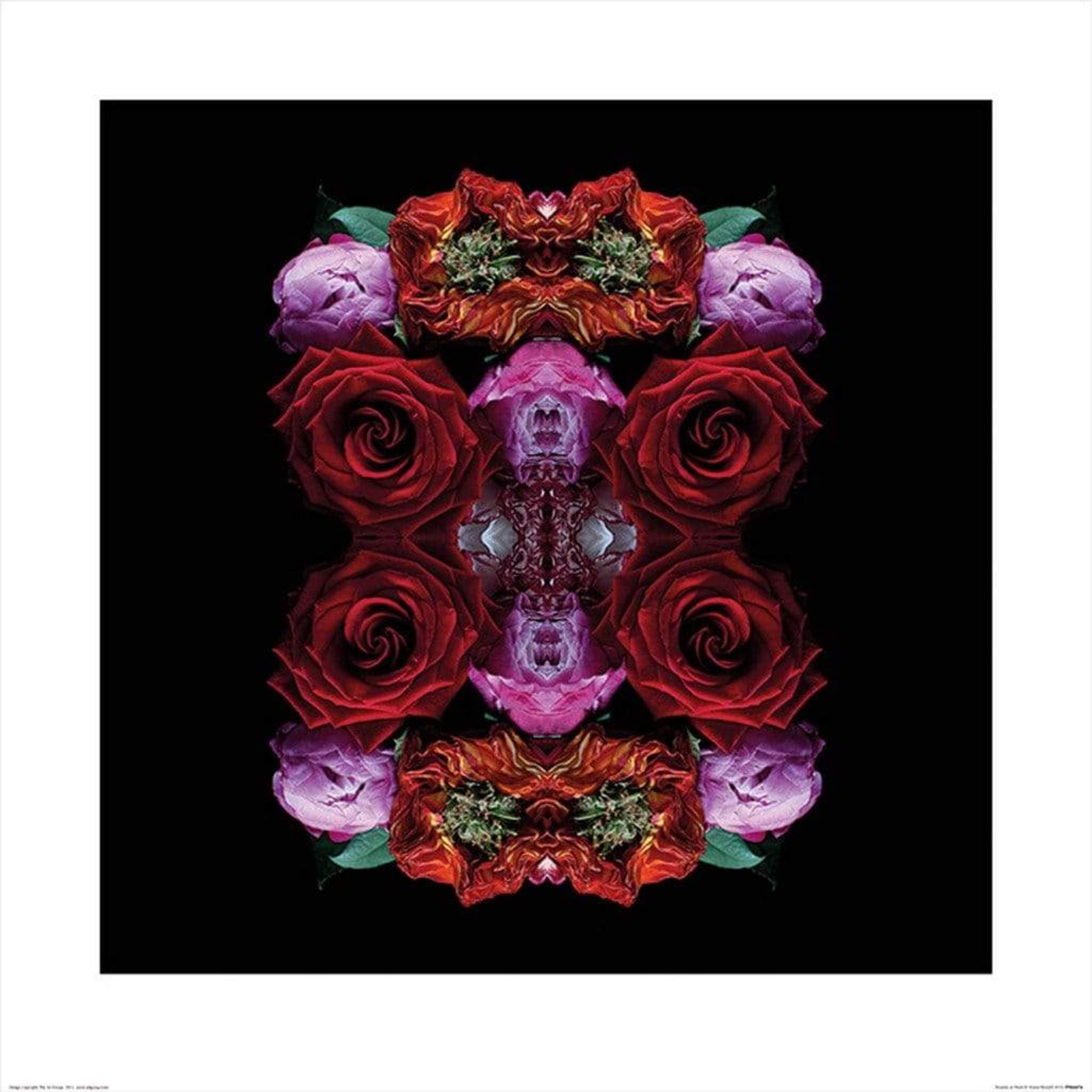 Pyramid Alyson Fennell Paradise of Petals Art Print 60x60cm | Yourdecoration.com