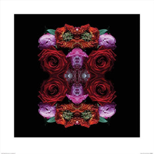 Pyramid Alyson Fennell Paradise of Petals Art Print 60x60cm | Yourdecoration.com