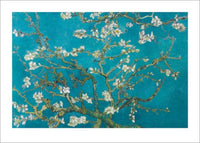 Pyramid Van Gogh Almond Blossom San Ramy 1890 Art Print 50x70cm | Yourdecoration.com
