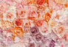 Wall Mural - Flowers 366x254cm - Paper Wallpaper