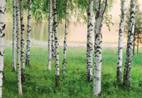 Wall Mural - Nordic Forest 366x254cm - Paper Wallpaper