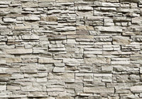 Wall Mural - The Wall 366x254cm - Paper Wallpaper