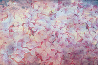 Dimex Apple Tree Abstract I Wall Mural 375x250cm 5 Panels | Yourdecoration.com