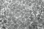 Dimex Apple Tree Abstract III Wall Mural 375x250cm 5 Panels | Yourdecoration.com