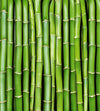 Dimex Bamboo Wall Mural 225x250cm 3 Panels | Yourdecoration.com