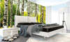 Dimex Birch Forest Wall Mural 375x250cm 5 Panels Ambiance | Yourdecoration.com
