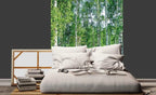 Dimex Birch Grow Wall Mural 225x250cm 3 Panels Ambiance | Yourdecoration.com