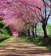 Dimex Blossom Alley Wall Mural 225x250cm 3 Panels | Yourdecoration.com