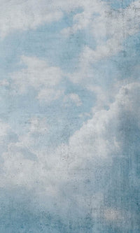 Dimex Blue Clouds Abstract Wall Mural 150x250cm 2 Panels | Yourdecoration.com