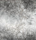 Dimex Branch Abstract Wall Mural 225x250cm 3 Panels | Yourdecoration.com