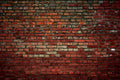 Dimex Brick Wall Wall Mural 375x250cm 5 Panels | Yourdecoration.com