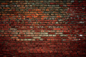 Dimex Brick Wall Wall Mural 375x250cm 5 Panels | Yourdecoration.com