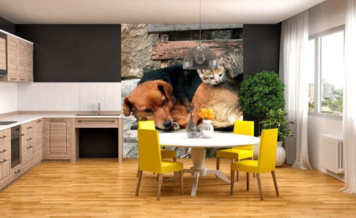 Dimex Cat and Dog Wall Mural 225x250cm 3 Panels Ambiance | Yourdecoration.com