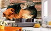 Dimex Cat and Dog Wall Mural 375x250cm 5 Panels Ambiance | Yourdecoration.com