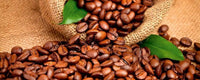 Dimex Coffee Beans Wall Mural 375x150cm 5 Panels | Yourdecoration.com