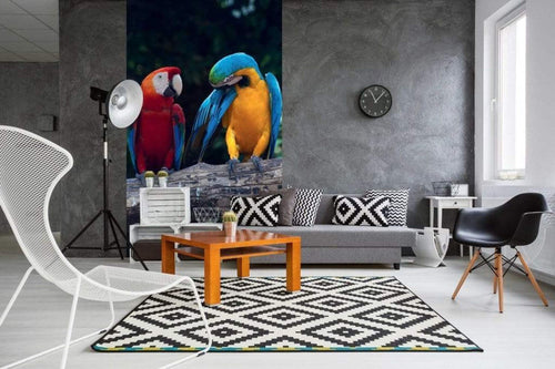 Dimex Colourful Macaw Wall Mural 150x250cm 2 Panels Ambiance | Yourdecoration.com