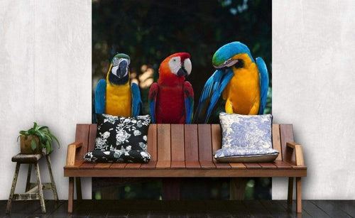 Dimex Colourful Macaw Wall Mural 225x250cm 3 Panels Ambiance | Yourdecoration.com