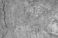 Dimex Concrete Floor Wall Mural 375x250cm 5 Panels | Yourdecoration.com
