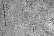 Dimex Concrete Floor Wall Mural 375x250cm 5 Panels | Yourdecoration.com