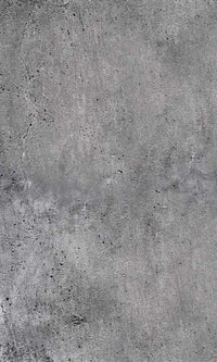 Dimex Concrete Wall Mural 150x250cm 2 Panels | Yourdecoration.com