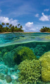 Dimex Coral Reef Wall Mural 150x250cm 2 Panels | Yourdecoration.com