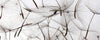 Dimex Dandelion Seeds Wall Mural 375x150cm 5 Panels | Yourdecoration.com
