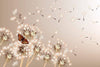 Dimex Dandelions and Butterfly Wall Mural 375x250cm 5 Panels | Yourdecoration.com
