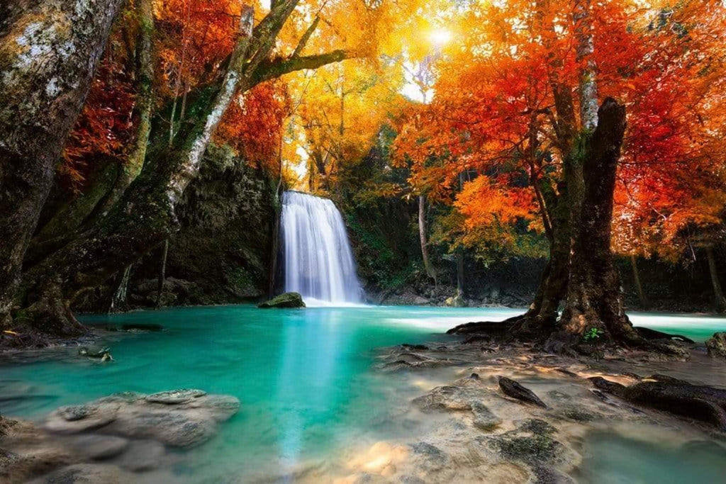 Dimex Deep Forest Waterfall Wall Mural 375x250cm 5 Panels | Yourdecoration.com
