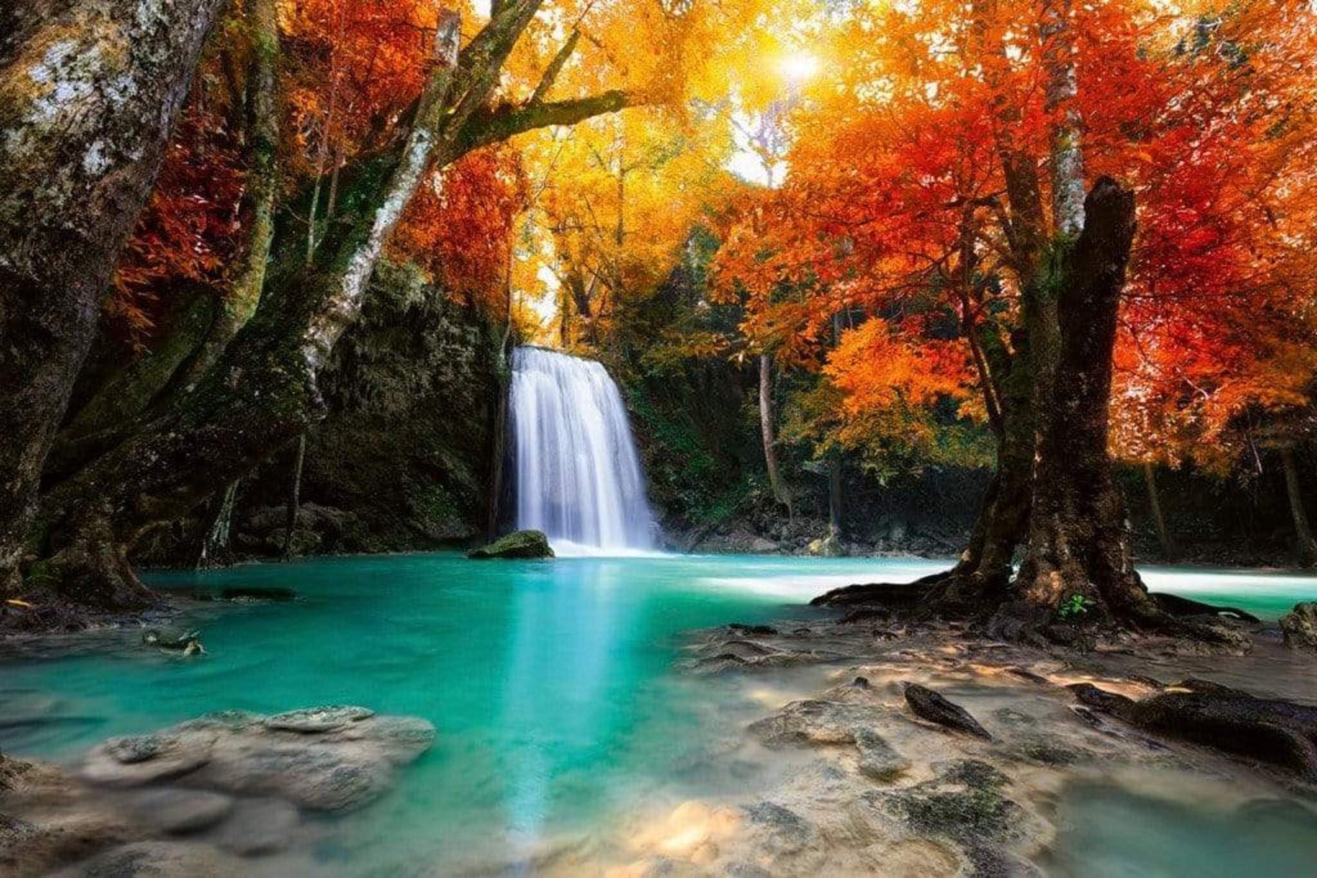 Dimex Deep Forest Waterfall Wall Mural 375x250cm 5 Panels | Yourdecoration.com