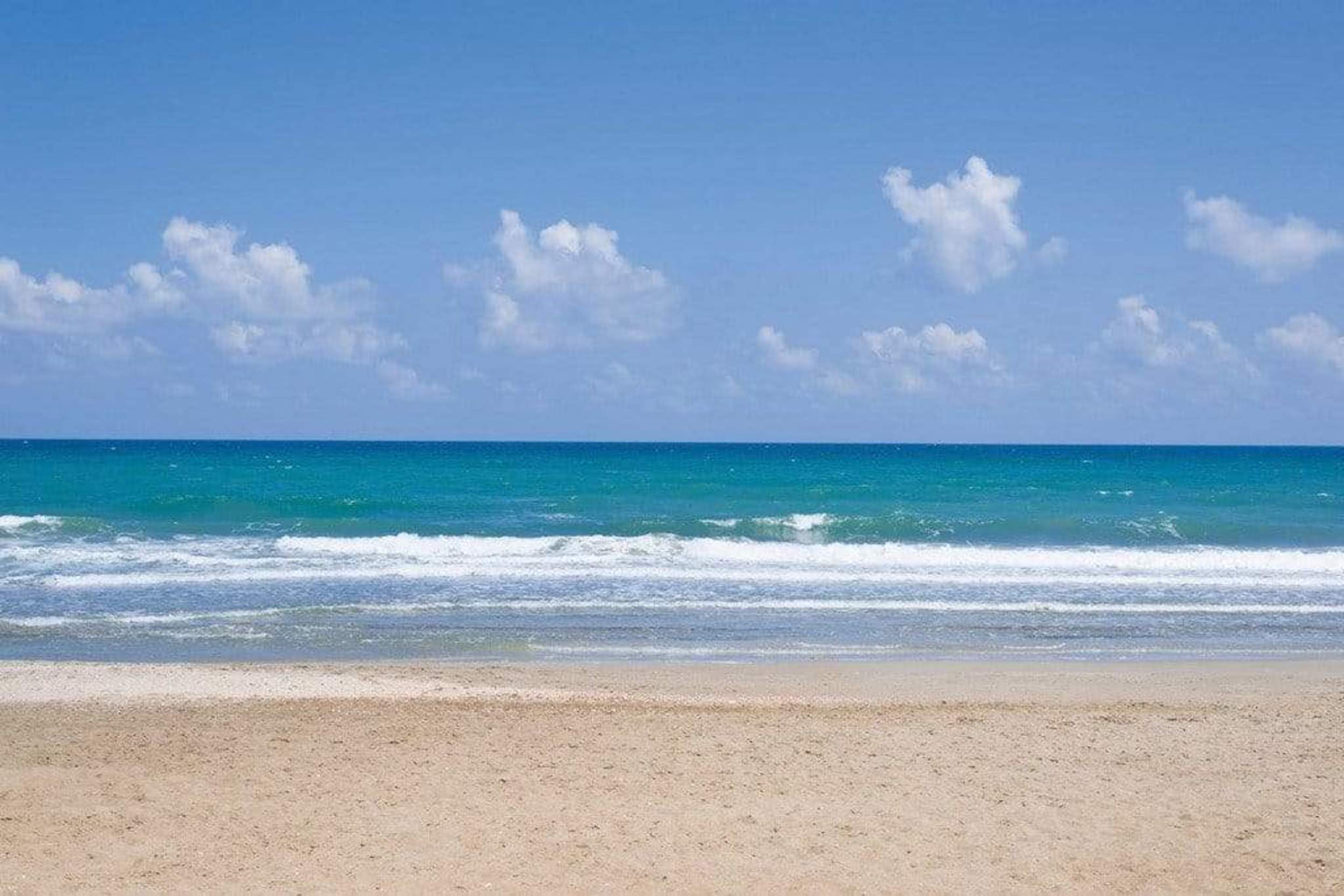 Dimex Empty Beach Wall Mural 375x250cm 5 Panels | Yourdecoration.com