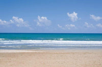Dimex Empty Beach Wall Mural 375x250cm 5 Panels | Yourdecoration.com