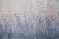 Dimex Field Abstract Wall Mural 375x250cm 5 Panels | Yourdecoration.com