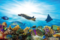 Dimex Fish Wall Mural 375x250cm 5 Panels | Yourdecoration.com