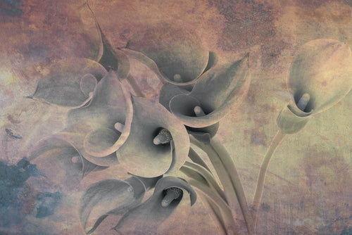 Dimex Flower Abstract I Wall Mural 375x250cm 5 Panels | Yourdecoration.com
