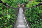 Dimex Footbridge Wall Mural 375x250cm 5 Panels | Yourdecoration.com