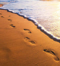 Dimex Footsteps Wall Mural 225x250cm 3 Panels | Yourdecoration.com