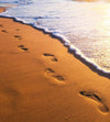 Dimex Footsteps Wall Mural 225x250cm 3 Panels | Yourdecoration.com