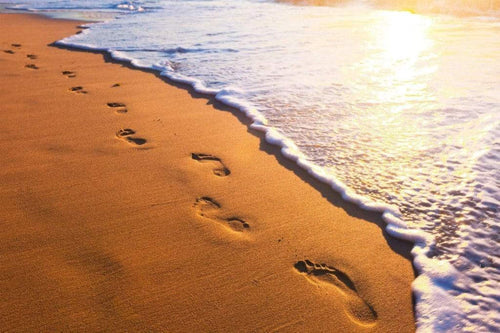 Dimex Footsteps Wall Mural 375x250cm 5 Panels | Yourdecoration.com