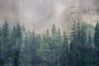 Dimex Forest Abstract Wall Mural 375x250cm 5 Panels | Yourdecoration.com