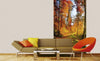 Dimex Forest Walk Wall Mural 150x250cm 2 Panels Ambiance | Yourdecoration.com