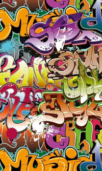 Dimex Graffiti Art Wall Mural 150x250cm 2 Panels | Yourdecoration.com
