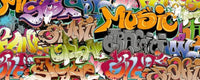 Dimex Graffiti Art Wall Mural 375x150cm 5 Panels | Yourdecoration.com