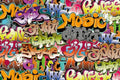 Dimex Graffiti Art Wall Mural 375x250cm 5 Panels | Yourdecoration.com