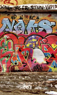 Dimex Graffiti Street Wall Mural 150x250cm 2 Panels | Yourdecoration.com